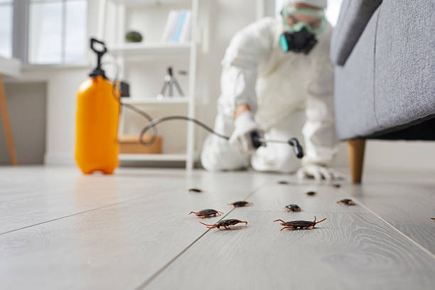 Post-Treatment Bed Bug Interceptor Monitoring in Absecon Highlands